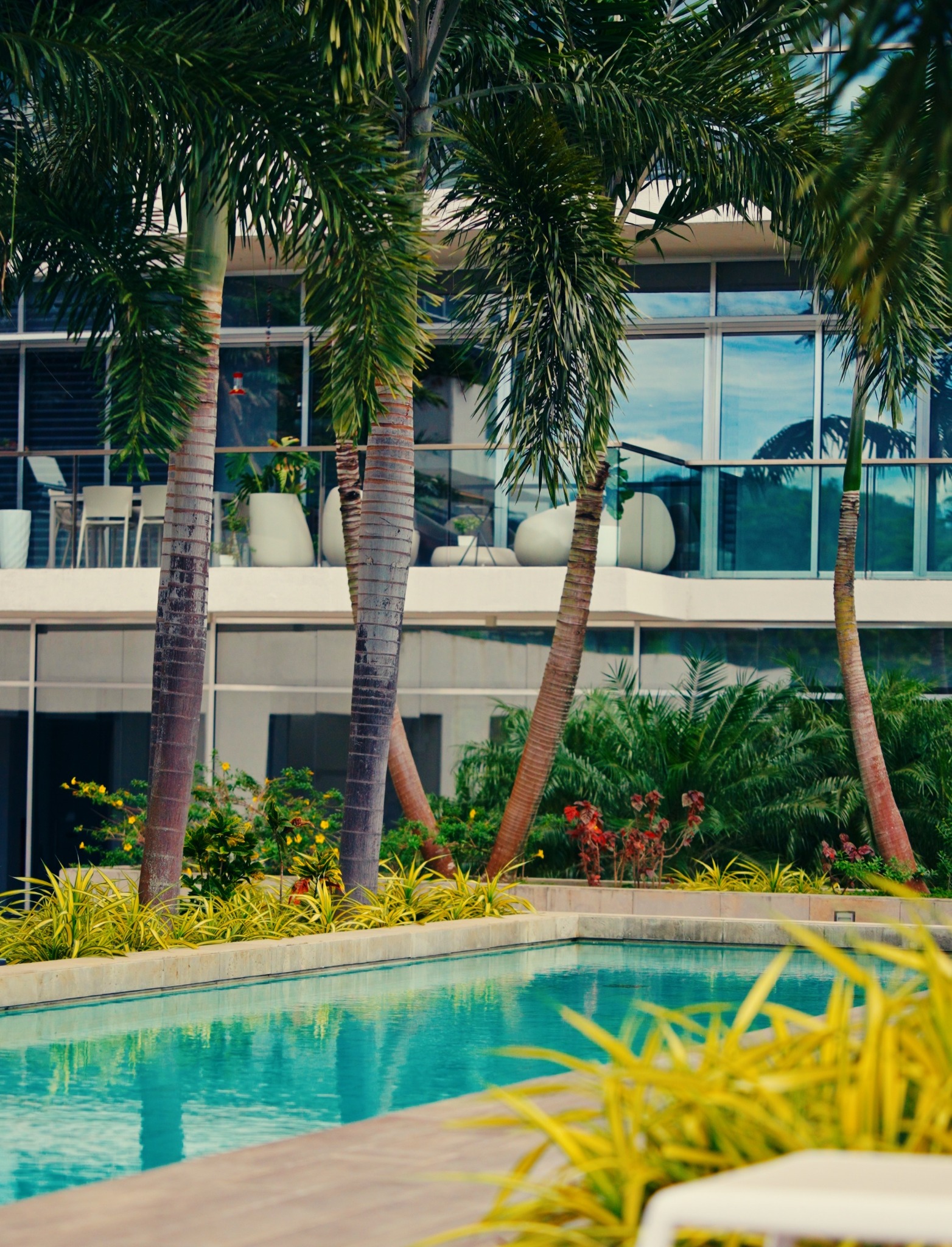 Propiedad moderna con piscina y paisajismo producida por EL PATIO HD